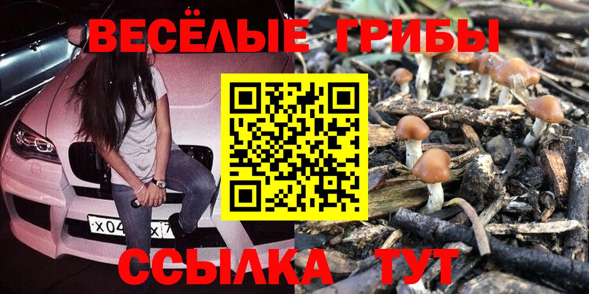Псилоцибиновые грибы прущие грибы Кизляр