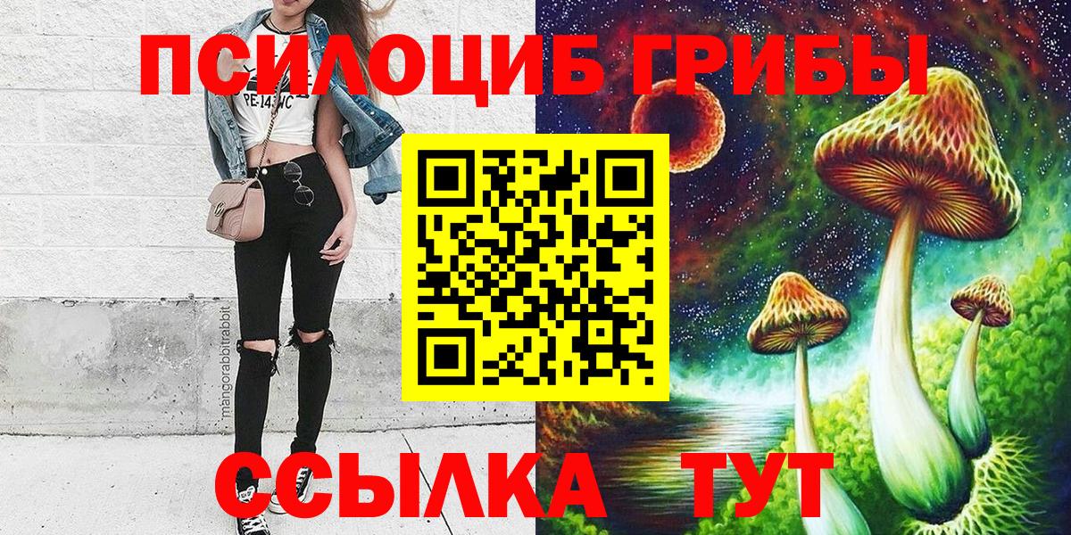 Псилоцибиновые грибы Cubensis  Вход с VPN  Кизляр 